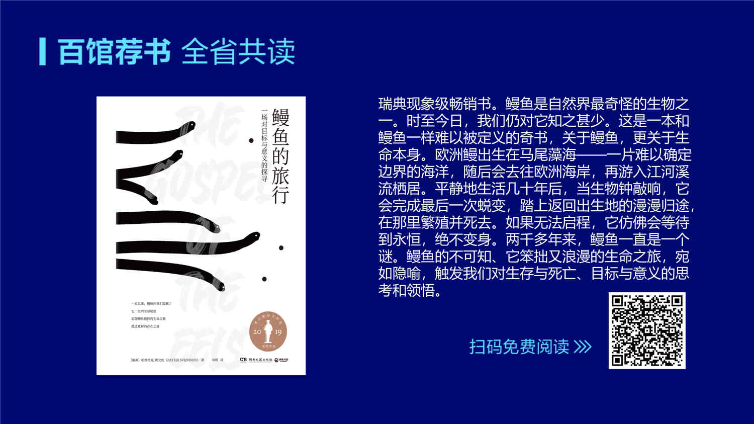 大屏图_08.jpg